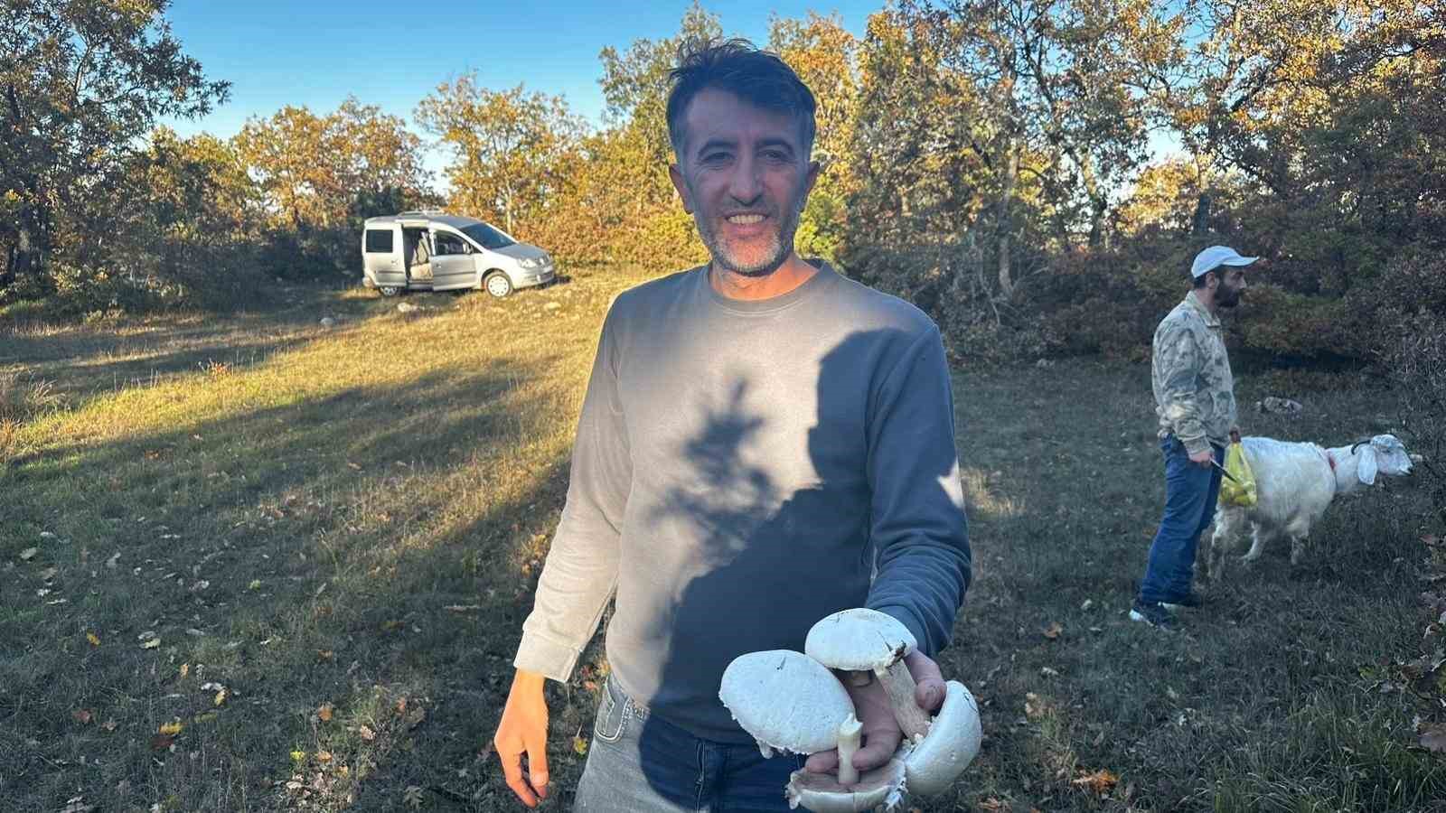 Yağışlar sonrası ormanlarda mantar patlaması yaşandı