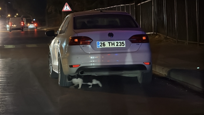 Kasisten çapraz geçti, tartışma çıktı: 180 bin TL ceza