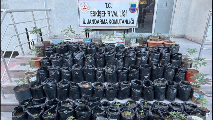 Eskişehir’de jandarma operasyonu: 161 kök kenevir ve esrar ele geçirildi