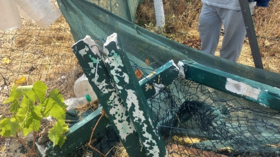 Seyitgazi Yolu’nda bahçe sahipleri şüphelilerin bulunmasını istiyor