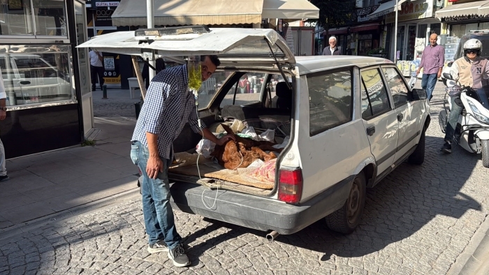 3 günlük “Kezban” otomobil bagajında veterinere yetiştirildi