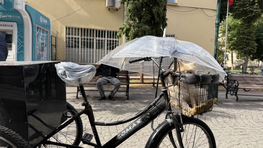 Yağmurda minik dostuna şemsiyeli koruma