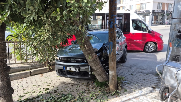 Eskişehir'de otomobil önce dolmuşa, ardından ağaca çarptı